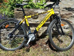 Gallery image of Maison pittoresque avec terrasse et BBQ, calme près de Langeac - FR-1-582-124 in Langeac