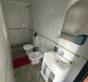 ein Badezimmer mit einem Waschbecken, einem WC und einem Spiegel in der Unterkunft Minicasa moderna in Castelar