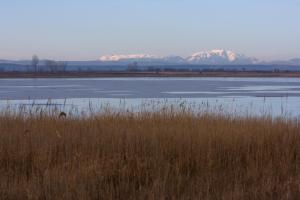 Paesaggio naturale nelle vicinanze dell'affittacamere