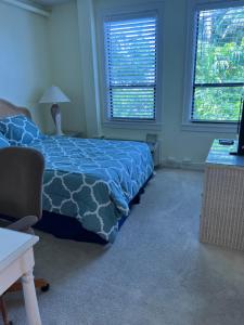 a bedroom with a blue bed and two windows at Tropical Elegant Palm Beach 2 Bedroom 2 Bathroom Suite Valet Parking Included in Palm Beach