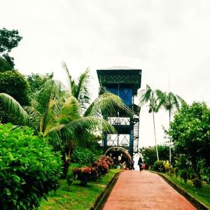 a dirt road in front of a building with palm trees at Hotel Lomas del Paiyü in Puerto Nariño