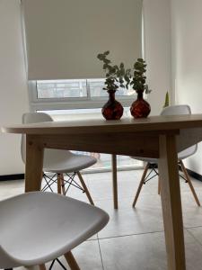 dois vasos sentados numa mesa de madeira com cadeiras em SAN LUIS CENTRO Departamento monoambiente em San Luis
