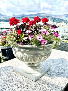 a vase filled with red and pink flowers on a table at Sea views in luxury at LYTTELTON BOATIQUE HOUSE - 14 km from Christchurch in  Lyttelton