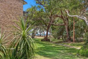 un giardino con una palma accanto a un edificio in mattoni di Bay Parklands, 56 2 Gowrie Ave - ground floor, air conditioned, wifi & Foxtel a Nelson Bay