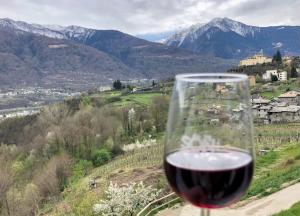 a glass of red wine with mountains in the background at Appartamento “Del TuF” in Sondrio Centro in Sondrio