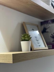 a plant on a wooden shelf with a picture at Residence Provence New in Vrdnik