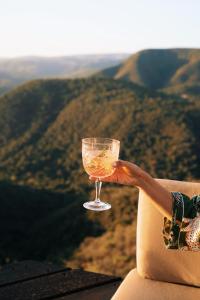 a person holding a glass of wine in front of a mountain at Camp Figtree in Addo
