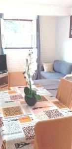 un soggiorno con tavolo e pianta di Appartement confortable avec vue sur le jardin - Le Robert a Le Robert