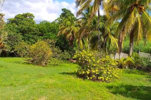 Giardino di Appartement confortable avec vue sur le jardin - Le Robert