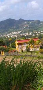 una casa con una palma di fronte di Appartement confortable avec vue sur le jardin - Le Robert a Le Robert