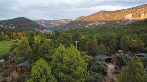 - une vue aérienne sur la forêt et les montagnes dans l'établissement El Llano de los Conejos Serranía de Cuenca, à Cañamares
