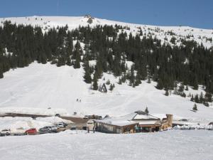 Chalet in Alps with Private Sauna v zime