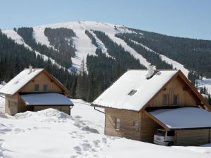 Chalet in Alps with Private Sauna v zime