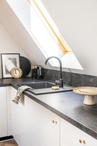 a kitchen with a sink and a skylight at Jedla Apartments in Dzianisz