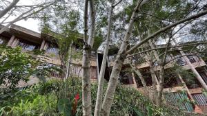 ein Gebäude mit Bäumen davor in der Unterkunft Villa Rock Stop Falls in Nairobi