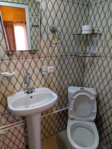 a bathroom with a sink and a toilet and a mirror at Old Halidzor in Halidzor +106 photos