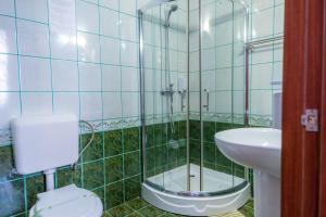 Koupelna v ubytování Hotel Sir Lujerului