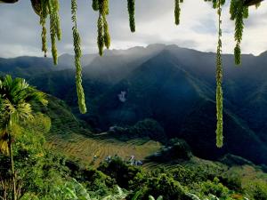 uitzicht op de bergen vanuit het regenwoud bij Batad Countryside in Banaue