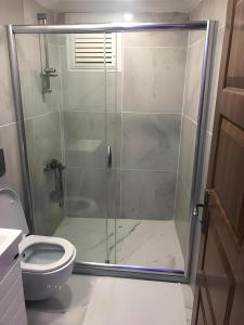 uma casa de banho com uma cabina de duche em vidro e um WC. em BLUE ROYAL HOTEL em Istambul