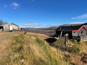 a barn and a house on a grassy hill at Hestdalssetra in Dovre