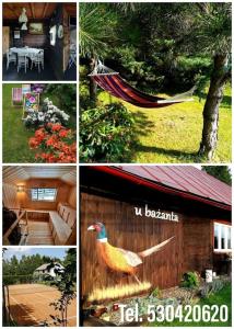 een collage van foto's met een kip en een huis bij u bażanta in Uherce Mineralne