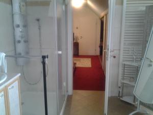 ein Bad mit einer Dusche und einer Glastür in der Unterkunft Les 3 Clés in Dossenheim-Kochersberg
