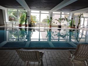 - une piscine dans un bâtiment avec des chaises et des plantes dans l'établissement Berghof Studio Haus Rachel, à Sankt Englmar