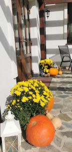 un grupo de calabazas con flores amarillas en un porche en Casa Stefu en Rîşnov