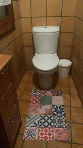 a bathroom with a toilet and a rug on the floor at Habitació polivalent al centre de Manresa in Manresa