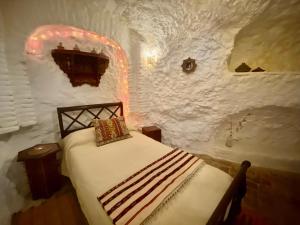 a bedroom with a bed in a snowy room at Cueva con vistas a la Alhambra in Granada