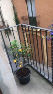 A balcony or terrace at Habitació polivalent al centre de Manresa