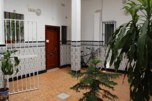 Zdjęcie z galerii obiektu CDZ - Casa de los Viajeros Pasquín w Kadyksie