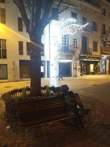 a park bench next to a tree in a street at Habitació polivalent al centre de Manresa in Manresa