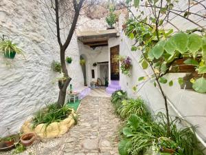 einen Steinweg, der zu einem weißen Gebäude mit einem Baum führt in der Unterkunft Cueva con vistas a la Alhambra in Granada