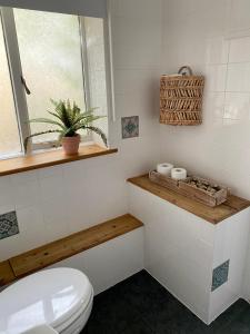 a bathroom with a toilet and a window and a plant at Little Limes an Adorable little Suffolk getaway with outside space near Woodbridge in Eyke