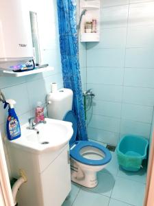 a bathroom with a blue toilet and a sink at Apartmani Gaga in Đenovići +13 photos
