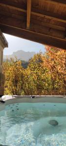 uma banheira de hidromassagem com vista para árvores e montanhas em Appartement au rez de jardin d'une villa Mexicaine avec jacuzzi em Barcelonnette