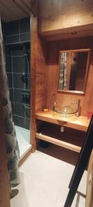 uma casa de banho com um chuveiro, um lavatório e um espelho. em Appartement au rez de jardin d'une villa Mexicaine avec jacuzzi em Barcelonnette