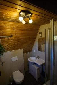 a bathroom with a toilet and a sink at Haus Fichtelgebirge in Nagel