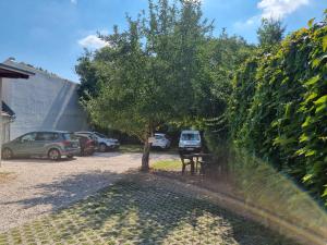 Vonkajšia záhrada v ubytovaní Hungaria Apartments