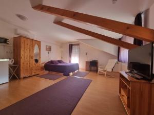 Televízia a/alebo spoločenská miestnosť v ubytovaní Hungaria Apartments
