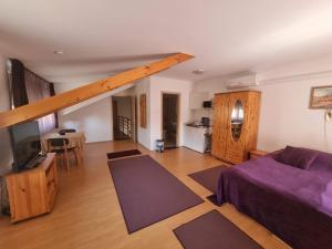 een grote woonkamer met een bed en een televisie bij Hungaria Apartments in Pécs