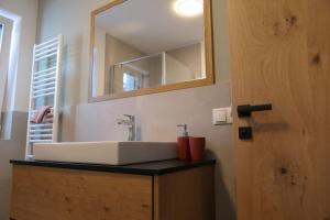 a bathroom with a sink and a mirror at BioTop Appartement Kronplatz in Perca +26 photos
