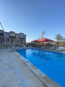 a large blue swimming pool with chairs and umbrellas at Hotel Traveler in Sighnaghi