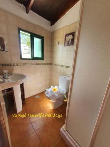 een badkamer met een toilet en een wastafel bij Rinconcito Rural con encanto en Las Hayas in Acardece