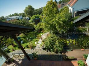 einen Blick über einen Garten mit Pflanzen und Bäumen in der Unterkunft Ferienwohnung Lohrig in Weiskirchen