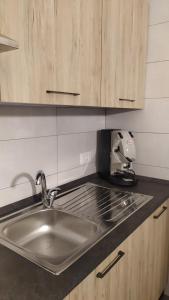 a kitchen counter with a sink and a mixer at B&B Walter & Chiara in Altamura