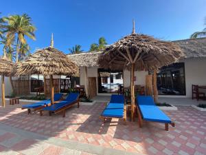 a resort with blue chairs and straw umbrellas at Amani Hotel Paje in Paje