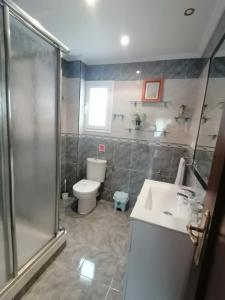 La salle de bains est pourvue d'une douche, de toilettes et d'un lavabo. dans l'établissement Keka en Playa la Victoria con Ascensor Grupo AC Gestion, à Cadix