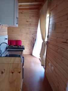a kitchen with wooden walls and a sink and a stove at Eco Cabañas Wanderlust in Puerto Puyuhuapi
